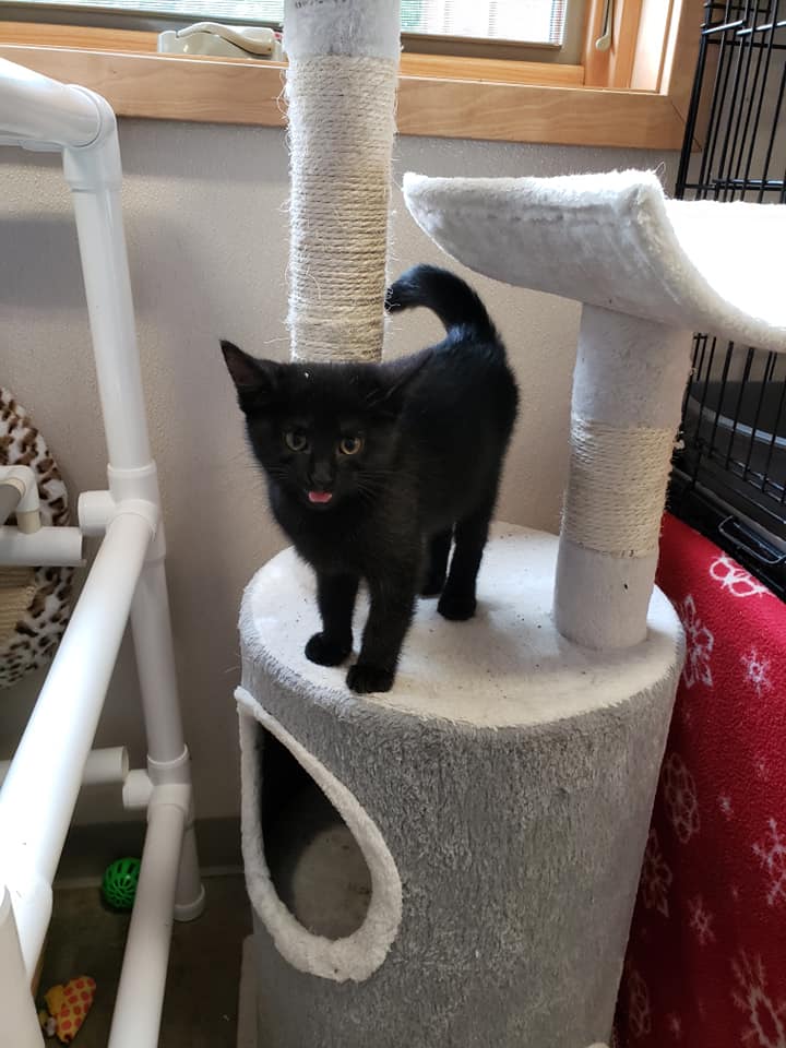 102414788_3625091064185285_5786569254186778624_n St. Francis CARE